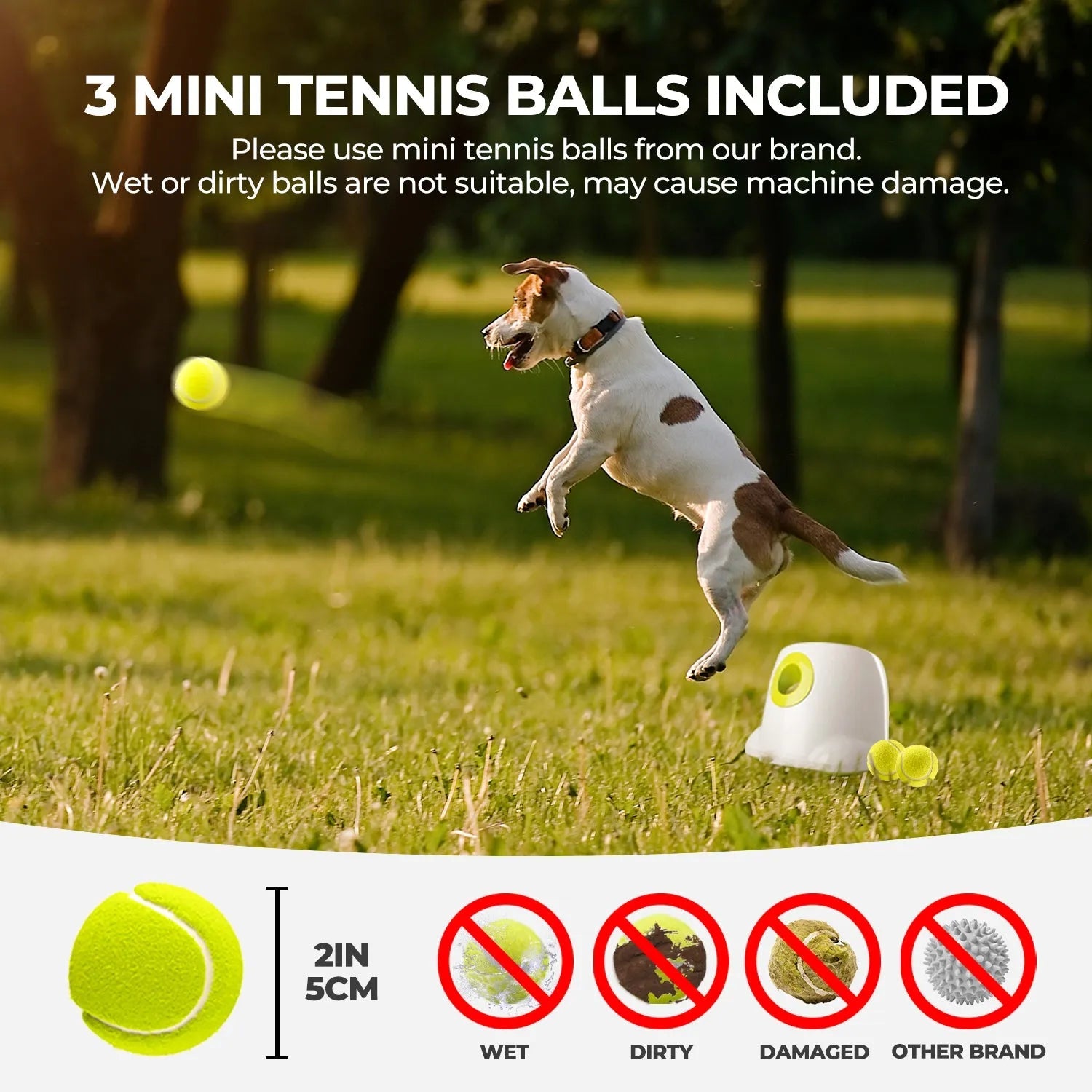 Mini Hyper Fetch Automatic Ball Launcher For Small Dogs
