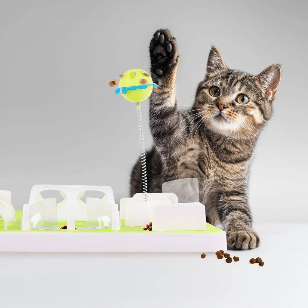Interactive Food Puzzles For Cats